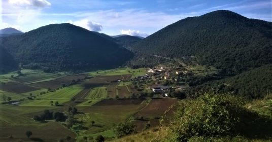 Itinerario Monte Alto-Amaseno-Bosco di Selva Piana