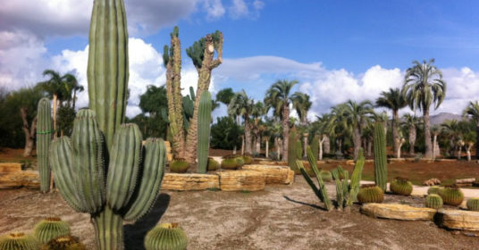 Parco dei continenti – Il mondo botanico di tutto il mondo nella Valle dell’Amaseno